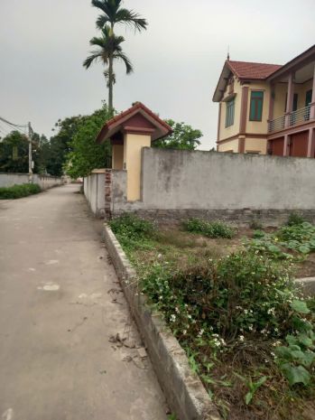 Bán đất thổ cư tân dân  phú xuyên - hà nội - 590m²  giá 7790733