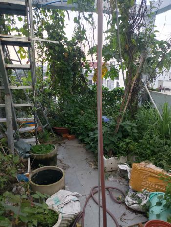Nhà đẹp  giá tốt  cần bán nhà 1753 đường hồ văn long, 7792345