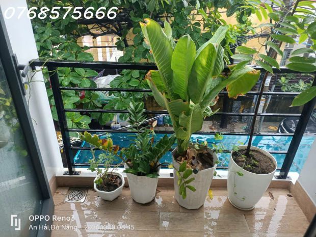 Cho thuê phòng mặt tiền tầng 2  số 51 an trung đông 7 7794507