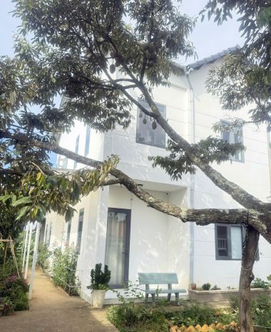 Nhà vườn siêu đẹp - nhà chính chủ tại ninh gia, 600m2, thổ 7794896