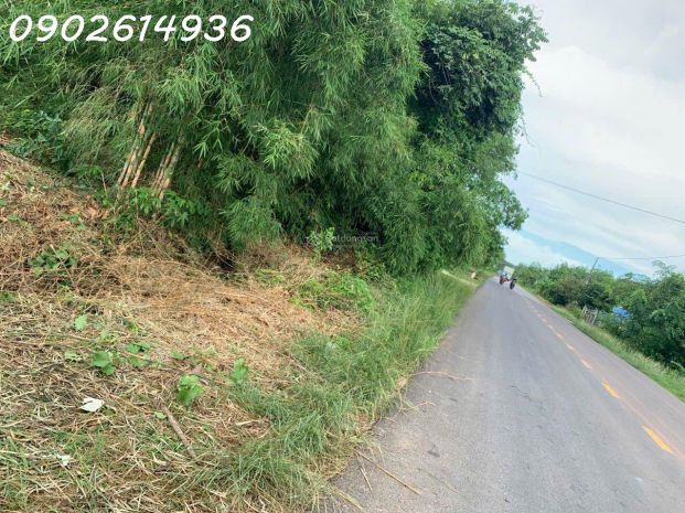 Bán đất đường lò rèn, long hòa, 24tỷ, 8000m2 view đẹp hot! 7797391