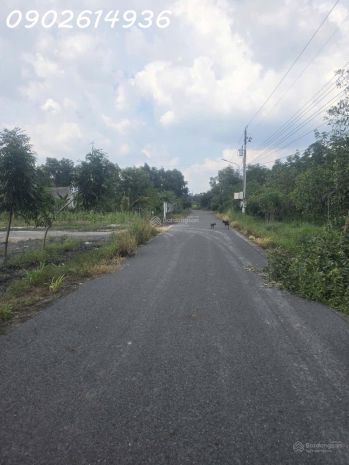 Bán đất đường lò rèn, long hòa, 24tỷ, 8000m2 view đẹp hot! 7797393