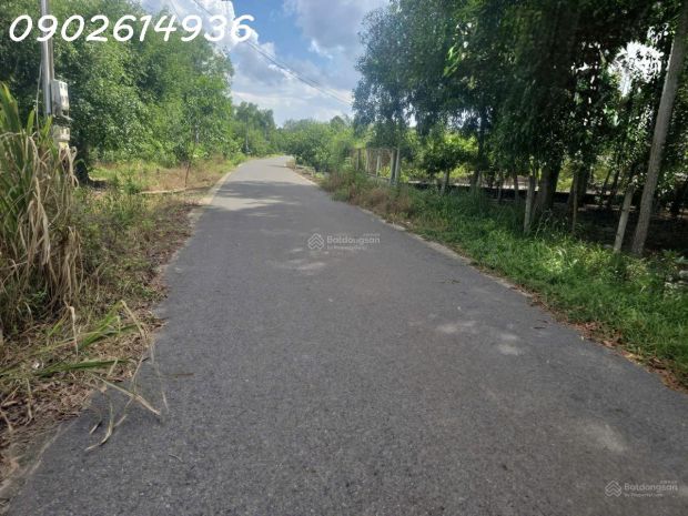 Bán đất đường lò rèn, long hòa, 24tỷ, 8000m2 view đẹp hot! 7797395