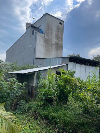 Chính chủ cần bán 2.400m² đất vườn sầu riêng kèm nhà yến đã 7799170