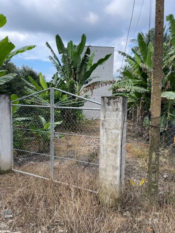 Chính chủ cần bán 2.400m² đất vườn sầu riêng kèm nhà yến đã 7799172