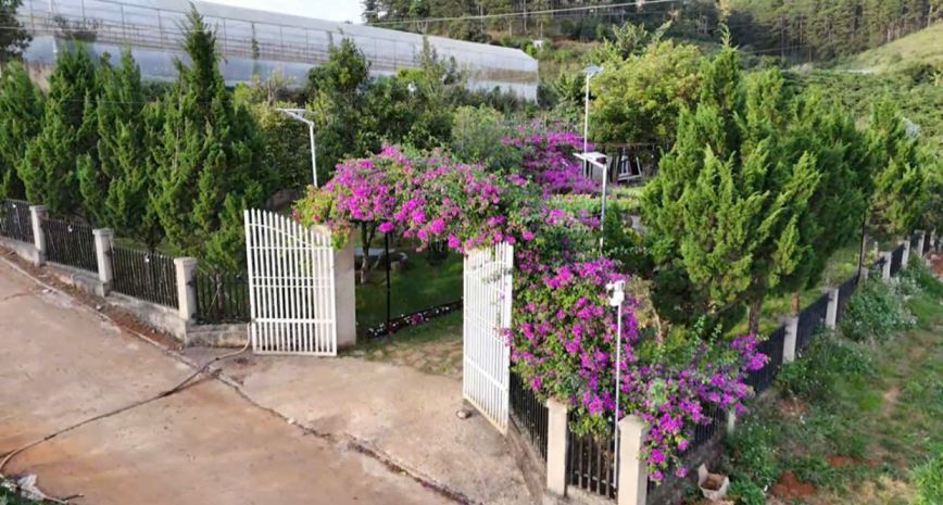 Cho thuê homestay khuôn viên 2.000m2 4 bungalow view rừng 7799955