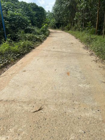 Cc 034 3097143 bán 7.5hecta đất rừng sản xuất view sông bám 7804404