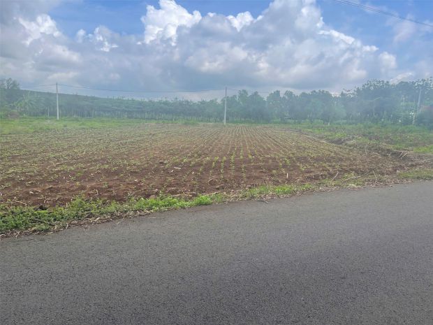 Bán lô đất vị trí đắc địa tại bình ba - đá bạc , châu đức, 7807309