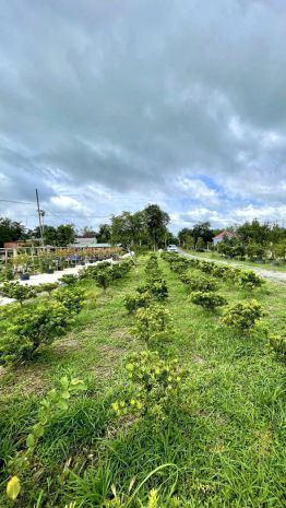 Cho thuê kho ,nhà xưởng ,mặt bằng kinh doanh tại củ chi, 7809106