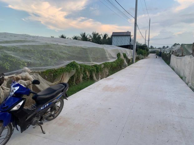 Chính chủ bán 2 lô đất tại ninh phước, ninh thuận  giá 7809178