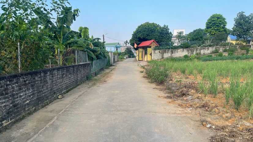 Bán đất lõi trung tâm phú cát  108,1m² full thổ cư  sẵn sổ 7809464