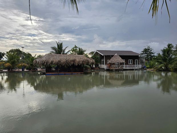 Bán nhà vườn nghỉ dưỡng hơn 3.000m²  không gian sống xanh, 7813263