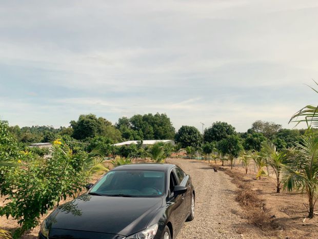 Bán đất vườn 13.623 m² + 300 m² ont  xã xuân bắc - tp đồng 7813483