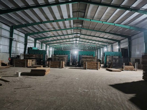 Chuyển nhượng nhà máy gỗ ép 100 mới tại đồng nai - 29 tỷ 7817788