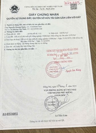 Chuyển nhượng nhà máy gỗ ép 100 mới tại đồng nai - 29 tỷ 7817793