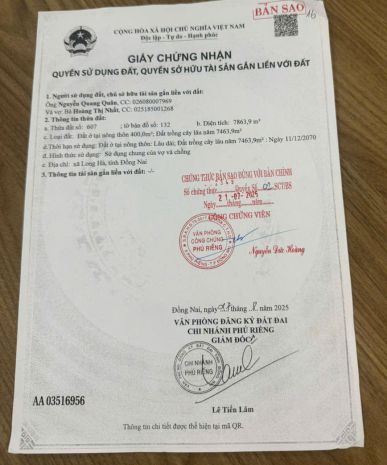 Chuyển nhượng nhà máy gỗ ép 100 mới tại đồng nai - 29 tỷ 7817794